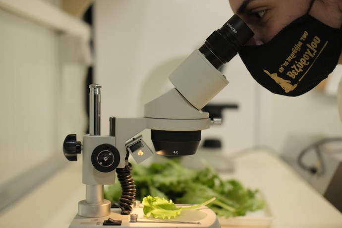 ΤΕΧNΟΓΝΩΣΙΑ ΠΡΟΣΩΠΙΚΟ