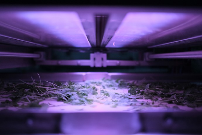 ΣΥΣΚΕΥΑΣΙΑ – ΤΥΠΟΠΟΙΗΣΗ – ΕΛΕΓΧΟΙ ΠΟΙΟΤΗΤΑΣ