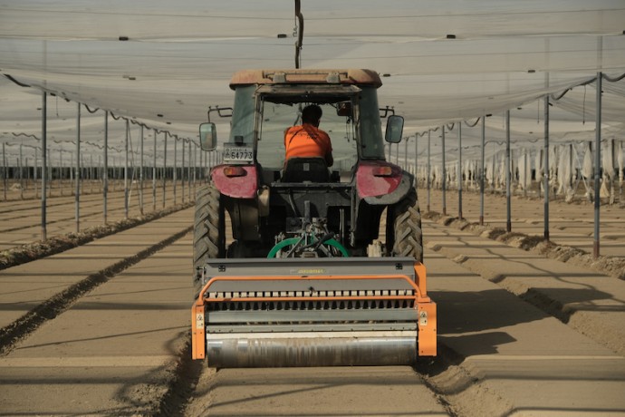 Αμειψισπορά